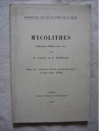 Mycolithes