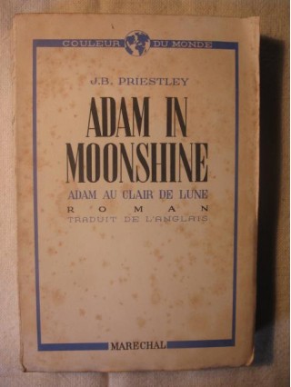 Adam in moonshine (Adam au clair de lune)