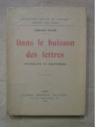 Dans le buisson des lettres, portraits et souvenirs