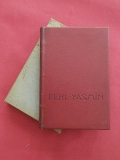 Fehl Yasmin