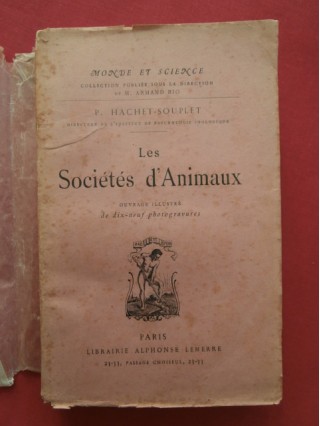 Les sociétés d'animaux