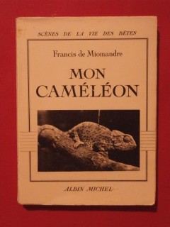 Mon caméléon