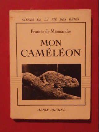 Mon caméléon