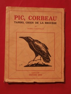 Pic, corbeau, Tambo, chien de la brousse