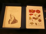Botanique de Lamarck