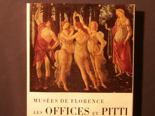 Les offices et Pitti