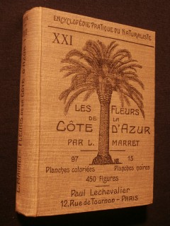 Les fleurs de la Côte d'Azur