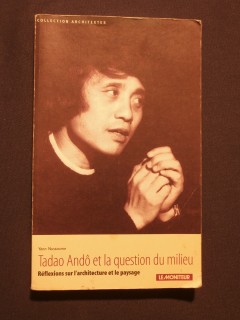 Tadao Andô et la question du milieu