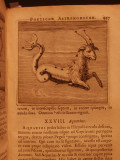 Mythographi Latini