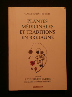 Plantes médicinales et traditions en Bretagne