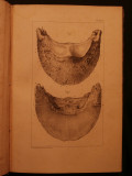 Traité de l'organisation du pied du cheval, atlas