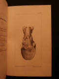 Traité de l'organisation du pied du cheval, atlas